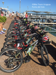 Bicicletas en el Puerto