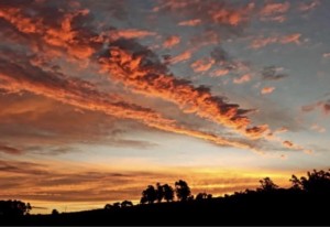 9c9d082e-dfbc-481c-b89c-acf4f7e03153