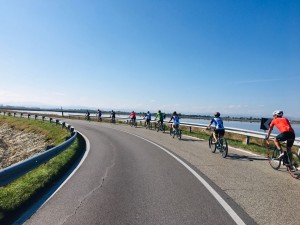 ac1bd251-ff3d-4056-85a9-0db58a01aea1